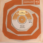 (7") Iron Virgin - Rebel Rules - pikkukuva 2