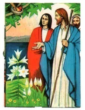 EO 8061 / NELKKU: Jeesus, opetuslapset, vertaus liljoista.