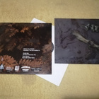CHESTBURSTER - Spring Revelations LP - pikkukuva 2