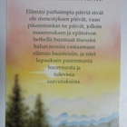 KULKEMATON JUHA AARREPALO KUVITUS POSITIIVARIT - pikkukuva 1