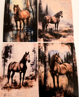 Postikortit HEVOSET / 4 kpl -setti