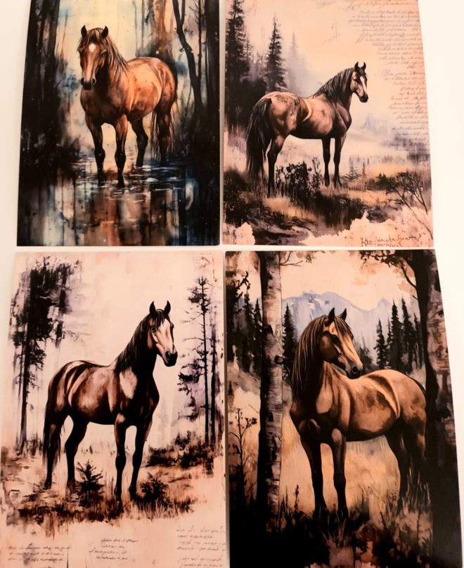 Postikortit HEVOSET / 4 kpl -setti