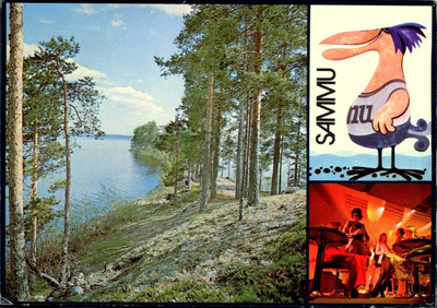 Rantasipi, Summassaari, Saarijärvi, kulkenut