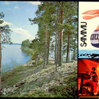 Rantasipi, Summassaari, Saarijärvi, kulkenut - pikkukuva 1