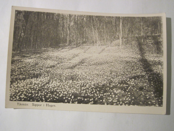 VANHA Postikortti Tammisaari 1938