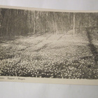 VANHA Postikortti Tammisaari 1938 - pikkukuva 1