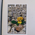 Iris Uurto : Valitut teokset 1-3 - pikkukuva 2