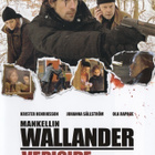 Wallander : Veriside - DVD - pikkukuva 1