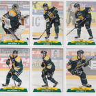 2017-18 Cardset Series 1 Ilves Team Set 12 korttia (25-36) - pikkukuva 1