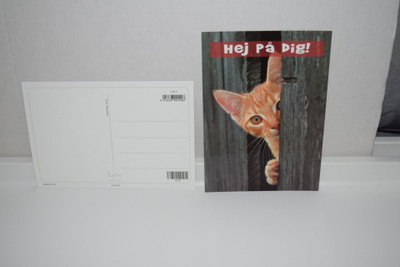  Postikortti (K)  kissa