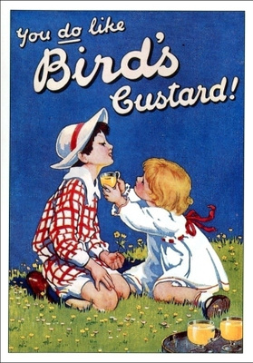 Bird´s Custard,  käyttämätön