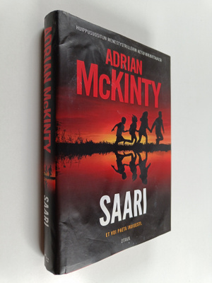 Adrian McKinty : Saari