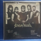 STORMWIND - TAKEN BY STORM M-/M- GER -85 1ST PRESS LP - pikkukuva 2