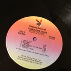 Laurie Kaye Cohen Under The skunk Us lp 1973 - pikkukuva 5