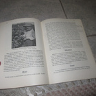SÄILÖÖNPANO AAPINEN 1.p v 1952 ( hyväkuntoinen - pikkukuva 2