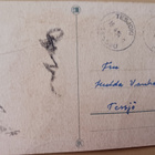 D. Klaide-Lindholm: Narsisseja keväisellä rannalla, p. 1954 - pikkukuva 2