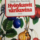 RAUTAVAARA - TUOMOLA: HYÖTYKASVIT VÄRIKASVINA - pikkukuva 1