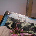 Steam Star 48/110 - pikkukuva 5