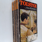 Leo Tolstoi : Anna Karenina 1-3 - pikkukuva 1