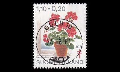 885 o Tuberkuloosi loisto Oulu 24.8.81 (1981)