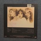 STEVIE NICKS - The Wild Heart   LP - pikkukuva 2