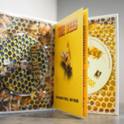 The Bees ( Blu-ray + DVD ) 1978 - pikkukuva 2