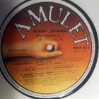 (LP) Albert Järvinen – Braindamage - Or Still Alive - pikkukuva 3