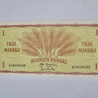 1 mk 1963 N AI8430400 Pakkasileä - pikkukuva 1