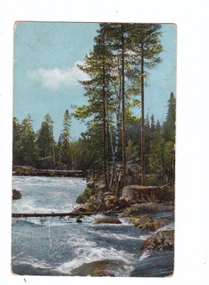 VANHA Postikortti Ilomantsi 1900-l