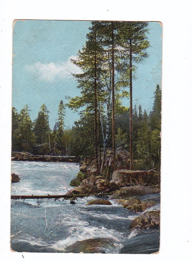 VANHA Postikortti Ilomantsi 1900-l