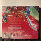 LIQUID TENSION EXPERIMENT: 3, CD x 2, muoveissa - pikkukuva 2