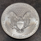 1 oz 999 Hopea raha American Silver Eagle 2009 one dollar - pikkukuva 2