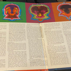 Poe: Up Through The Spiral 1971 LP - Psych HARVINAINEN - pikkukuva 2