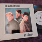 The Shakin´ Pyramids sinkku - pikkukuva 1