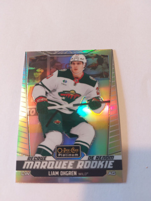 2024-25 O-Pee-Chee Platinum Rainbow #235 Liam Ohgren MR