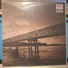 Riverdog Samson – Riverdog Samson vinyyli+cd - pikkukuva 1