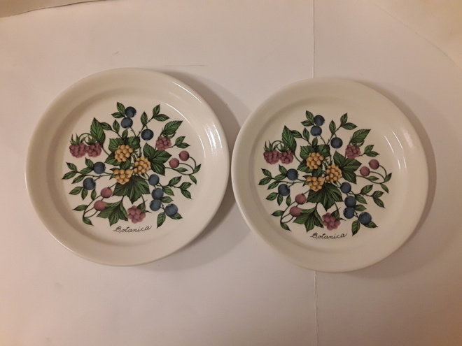 2 x Arabia Botanica . Lautanen Ø 20.5 cm . Uudenveroinen