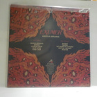 EXUMER - HOSTILE DEFIANCE EX+/M- EU 2019 LP - pikkukuva 2