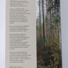 Kaino Tuokko : Metsänparantajat kansakunnan asialla 1908-... - pikkukuva 2