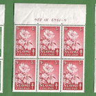 TUB 1949-sarjakuusilot**(Loo) - pikkukuva 1