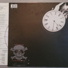 Terence Trent D'arby :  D'arby's Neither Fish Nor Flesh  Lp - pikkukuva 2