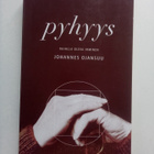 Johannes Ojansuu: Pyhyys - Rajalla oleva ihminen (Sis.pk:t) - pikkukuva 1