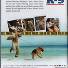 K-9 (70 431) UUSI -FI- DVD james belushi 1989 - pikkukuva 2