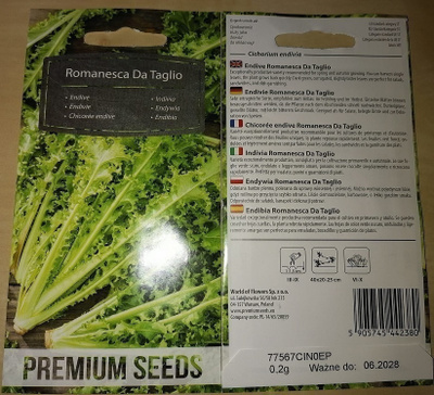 Endiivi ‘'Romanesca Da Taglio'’ - siemenet #