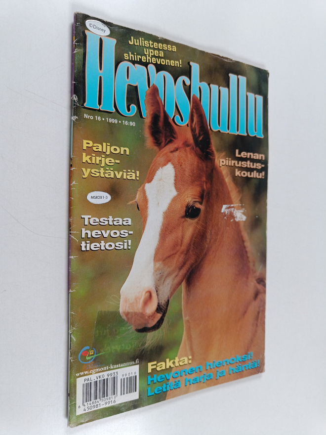 Hevoshullu 16/1999
