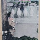 Pikkuherra soittaa serenadia pikkuleidille, p. 1907 - pikkukuva 1