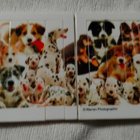Pocket Puzzle Dogs / Koirat Labyrinttipalapeli / peli - pikkukuva 4