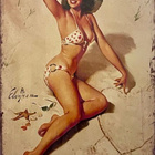 Pin-up kylttejä 5 kpl - pikkukuva 4