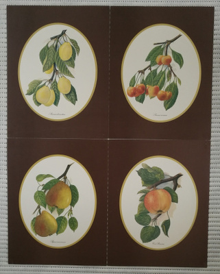 Taidejuliste/art print, 4 kpl hedelmäaiheisia