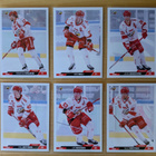 2023-24 Cardset Series 2 Sport Team Set 12 korttia (313-324) - pikkukuva 2